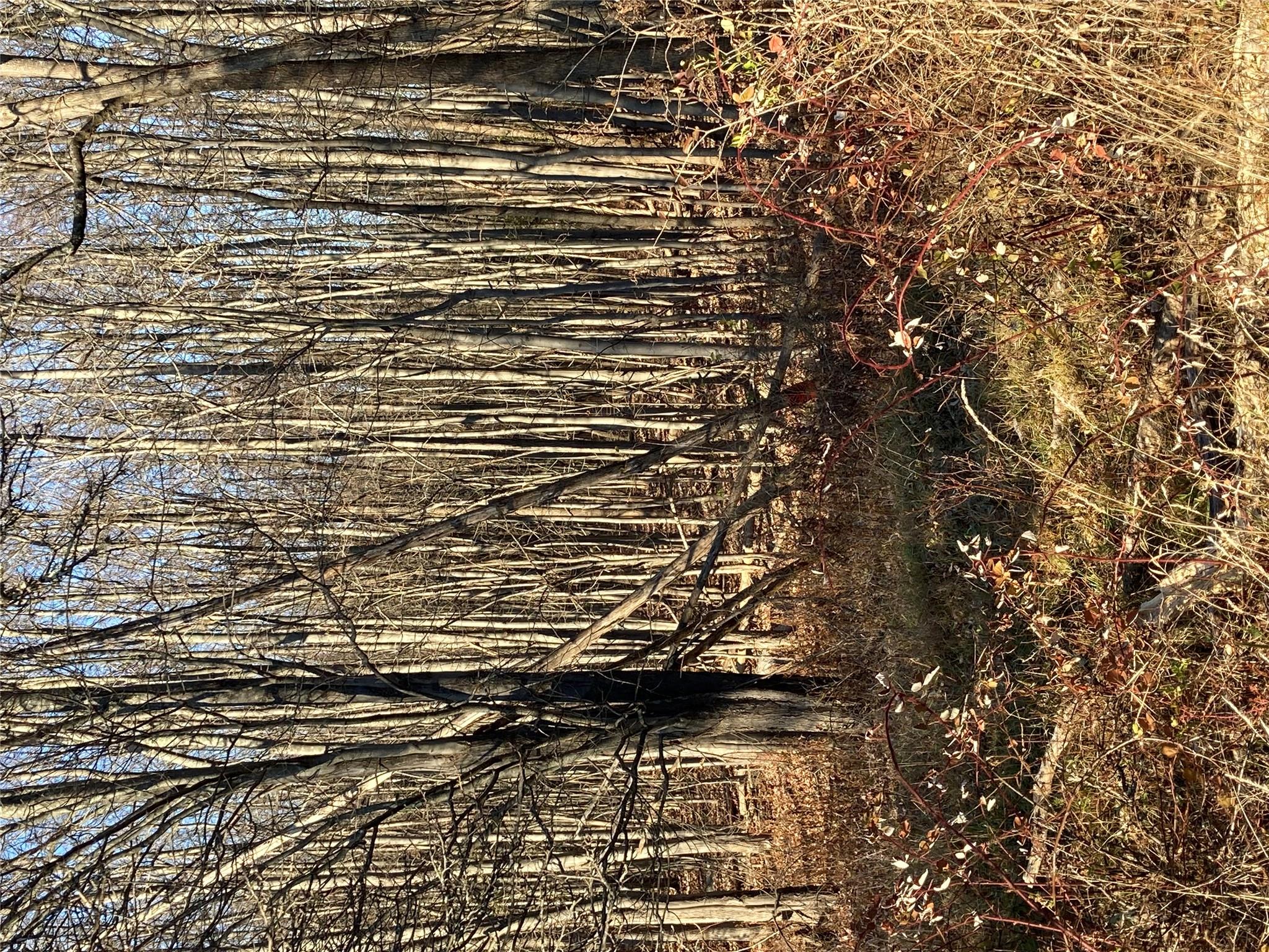 #9 photo, Pocatello Road Pocatello Road, Middletown , NY 12566