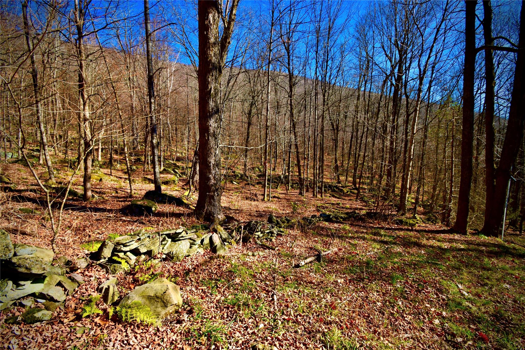 #10 photo, 339 Mountain Lake Road, Andes , NY 13731