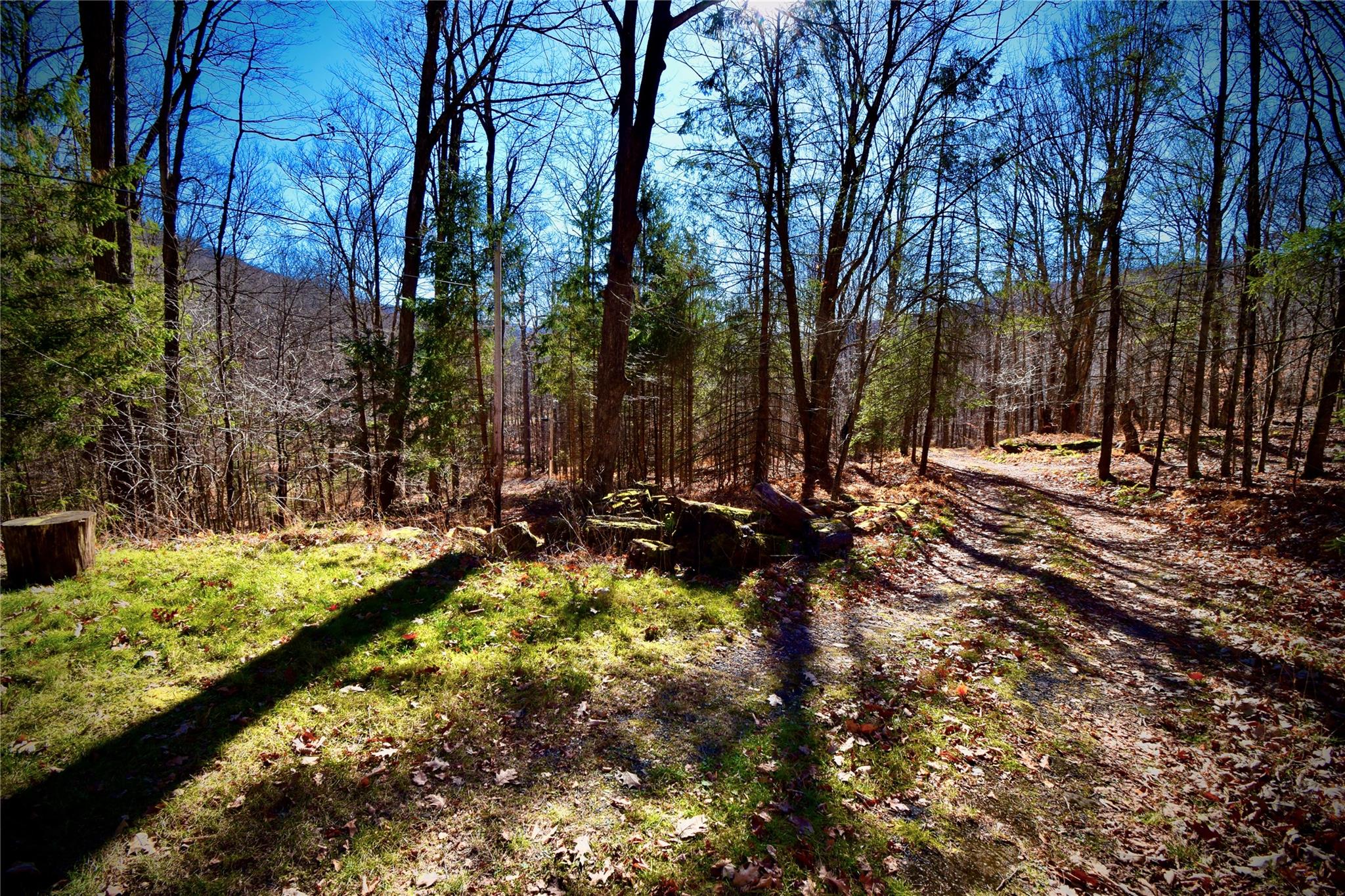 #16 photo, 339 Mountain Lake Road, Andes , NY 13731