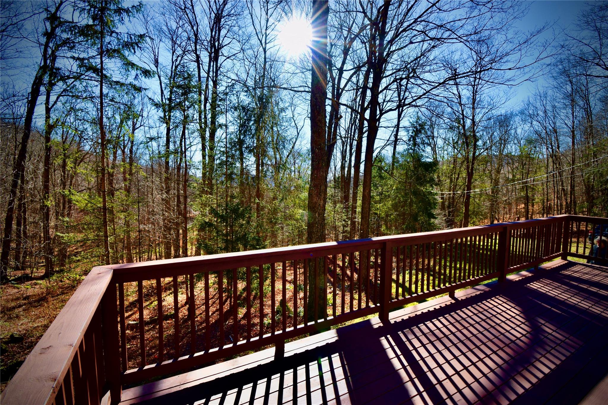 #3 photo, 339 Mountain Lake Road, Andes , NY 13731