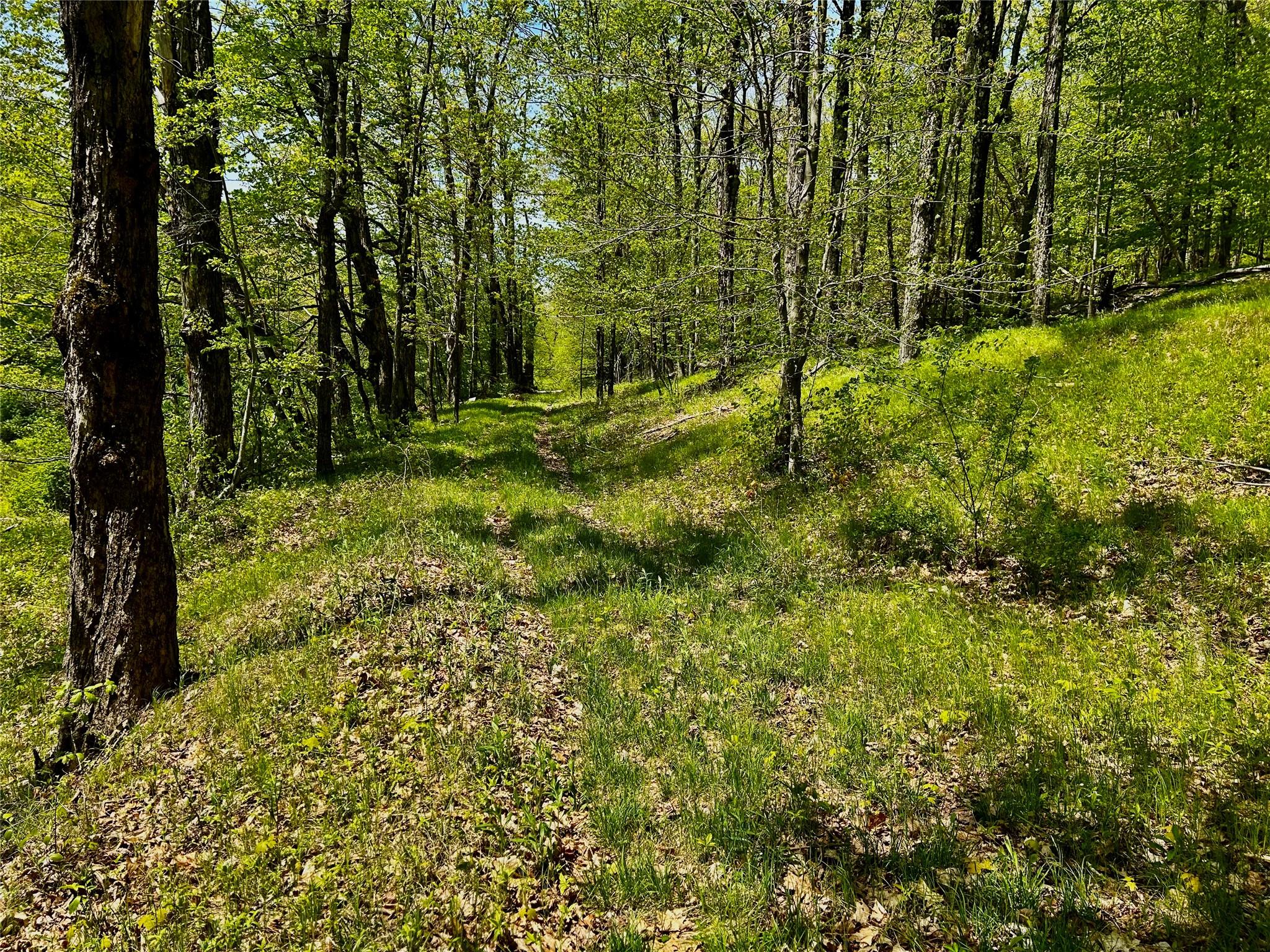 #17 photo, 4 West Hill Road, Austerlitz , NY 