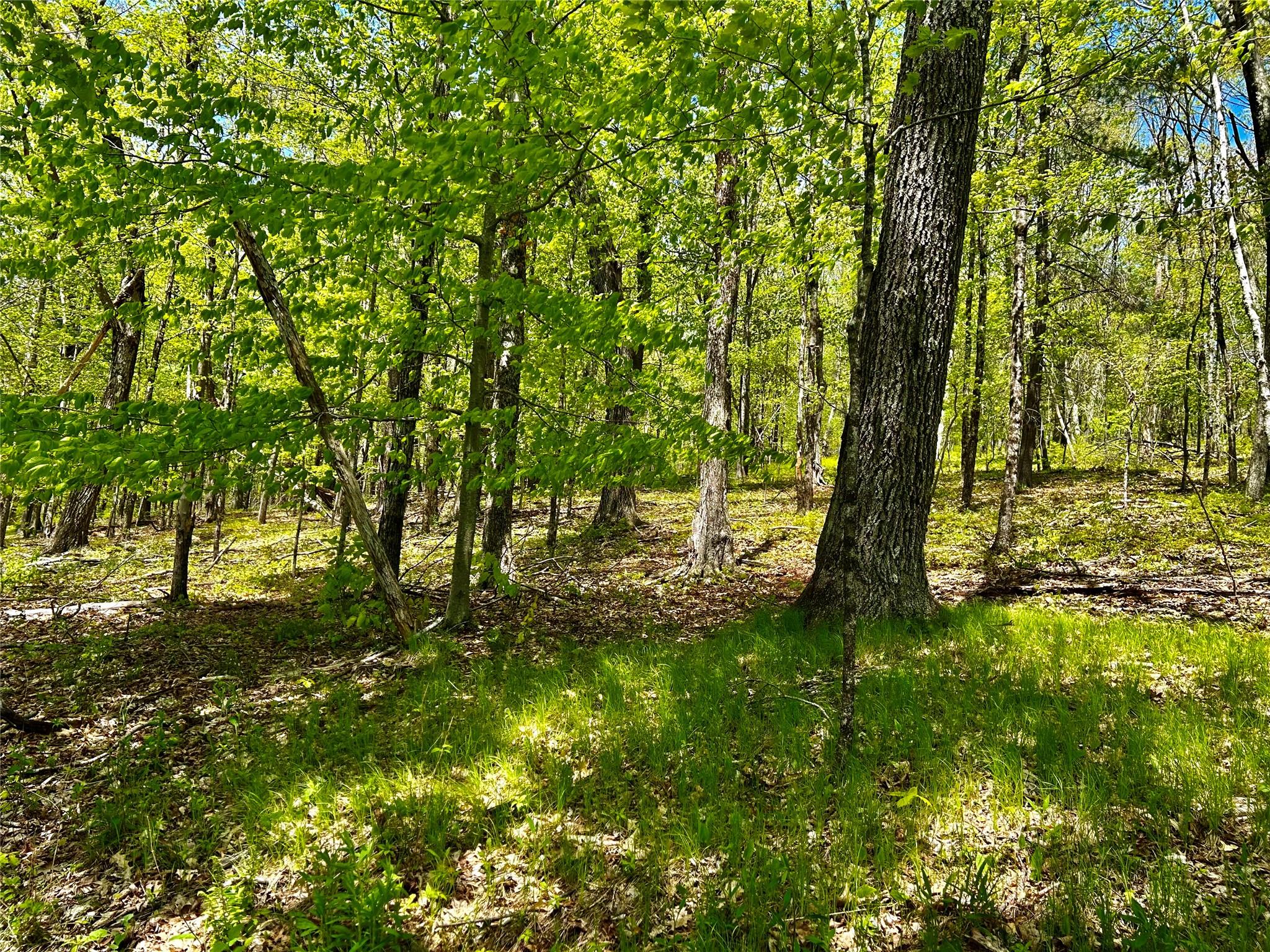 #19 photo, 4 West Hill Road, Austerlitz , NY 