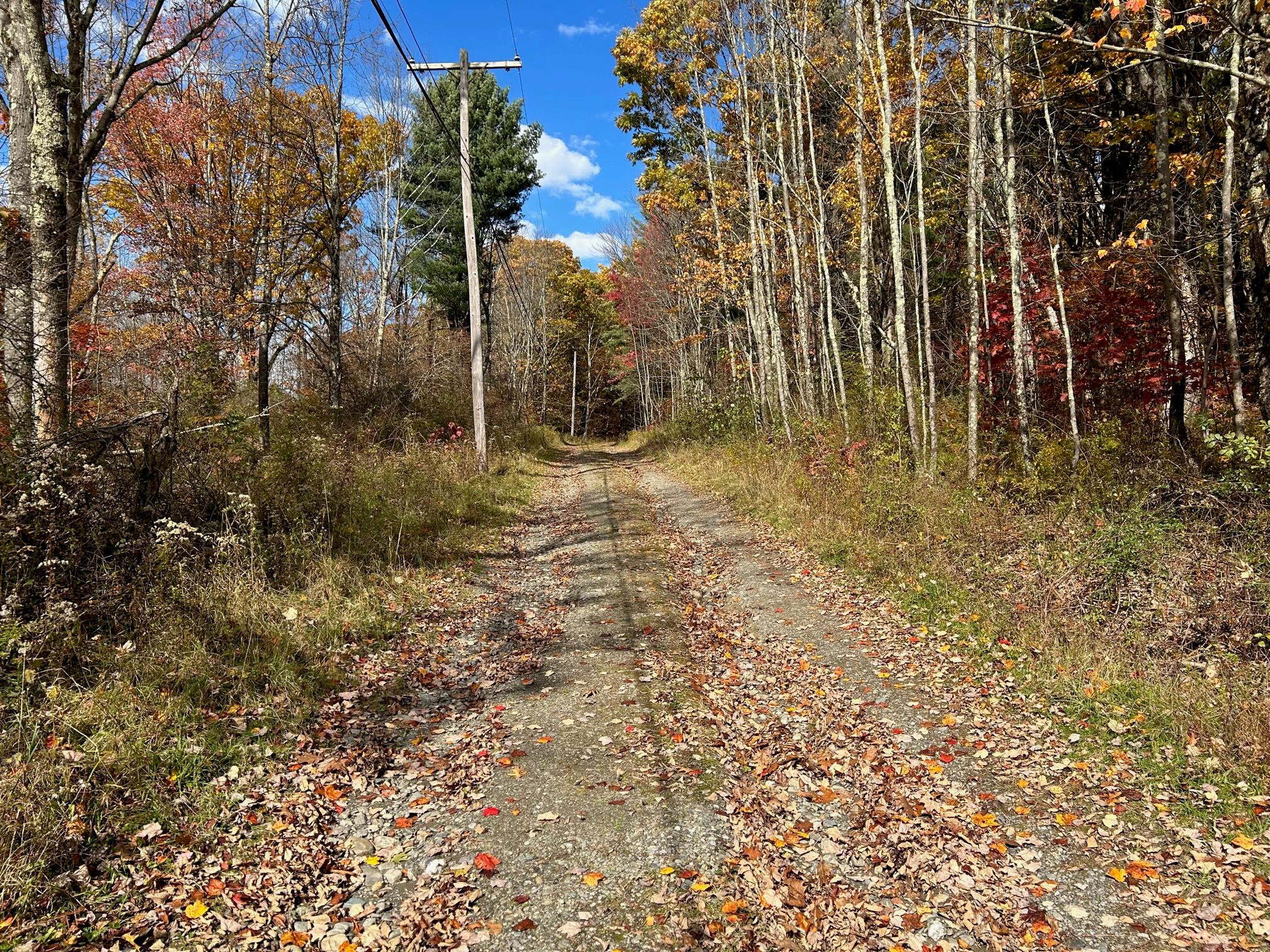 #7 photo, 4 West Hill Road, Austerlitz , NY 