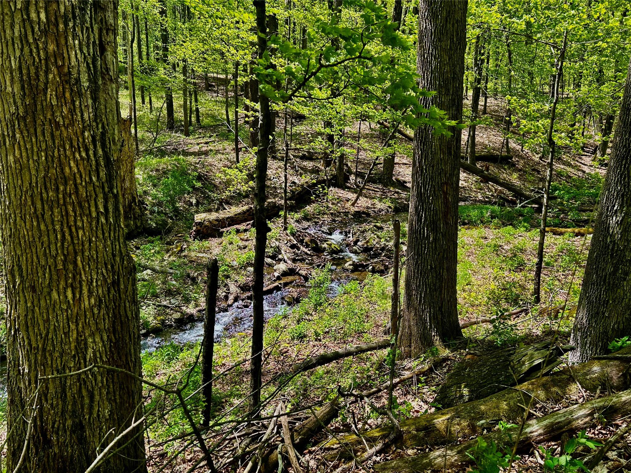 #10 photo, 00 Dugway, Austerlitz , NY 12017