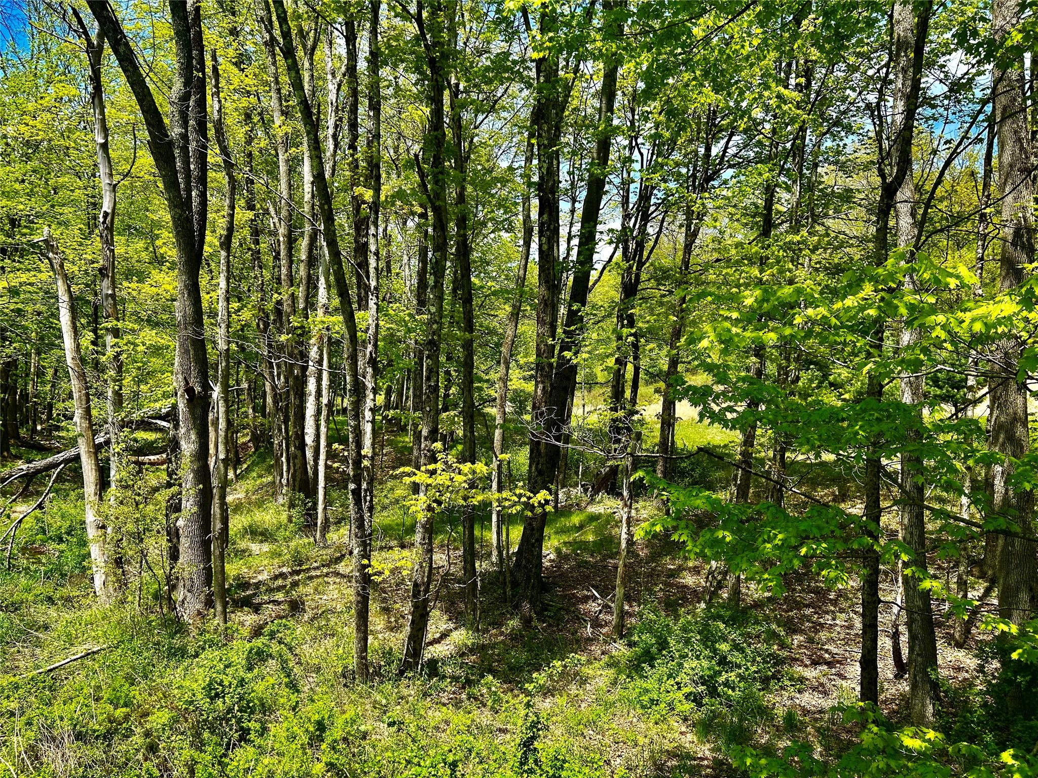 #11 photo, 00 Dugway, Austerlitz , NY 12017