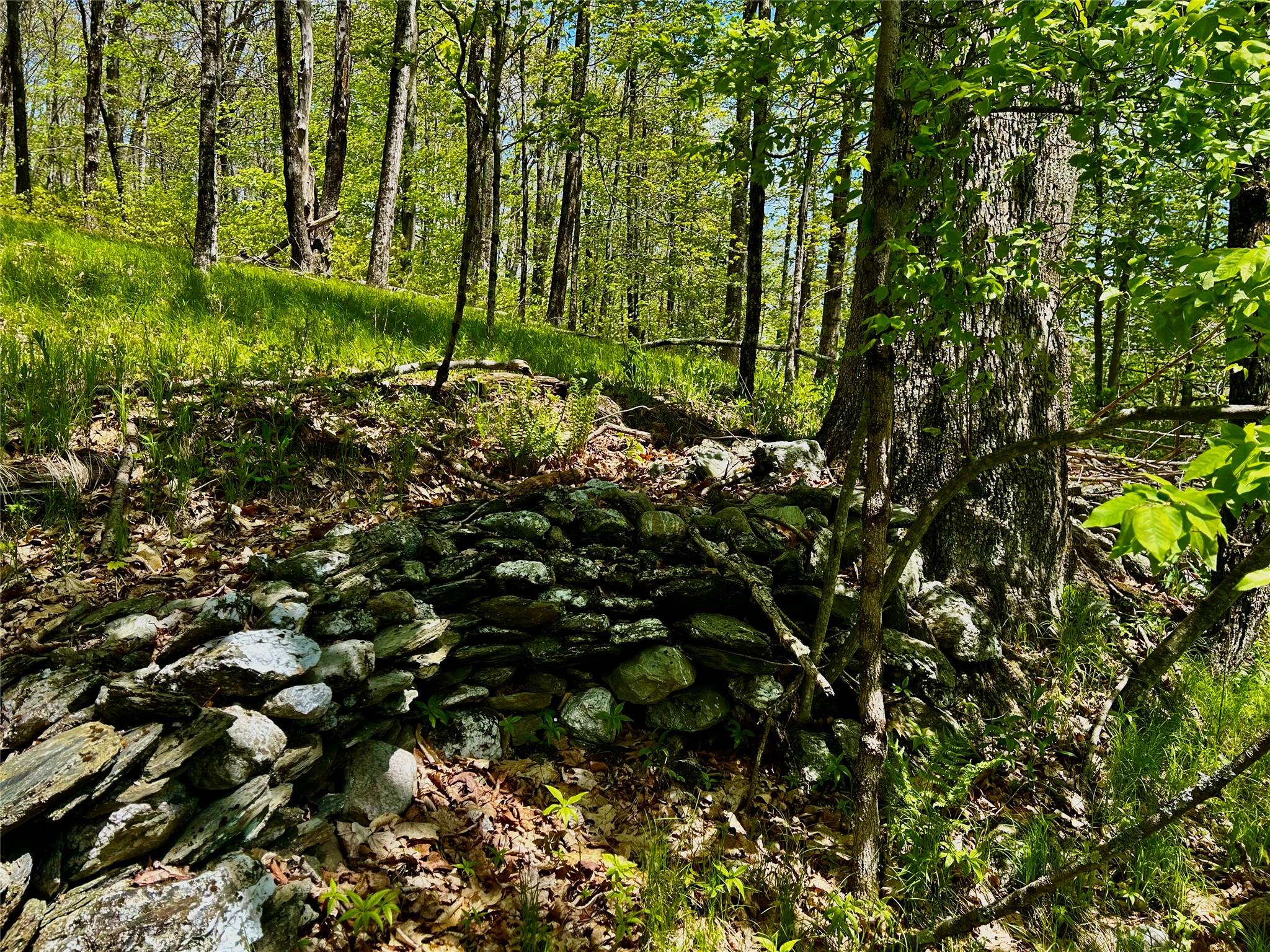 #13 photo, 00 Dugway, Austerlitz , NY 12017