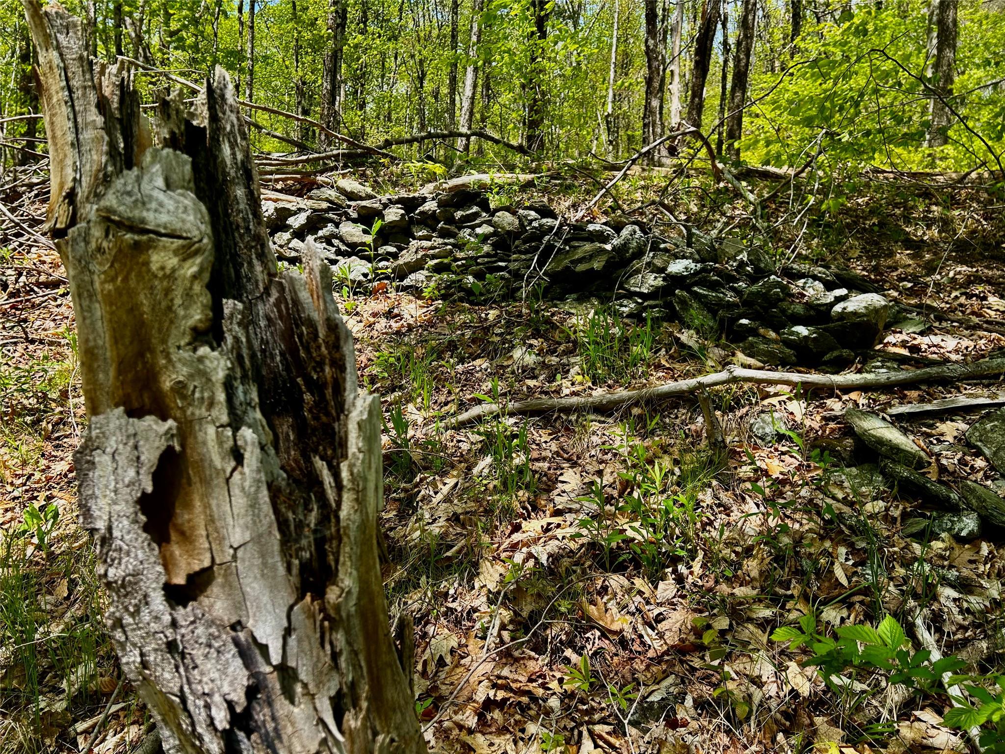 #15 photo, 00 Dugway, Austerlitz , NY 12017