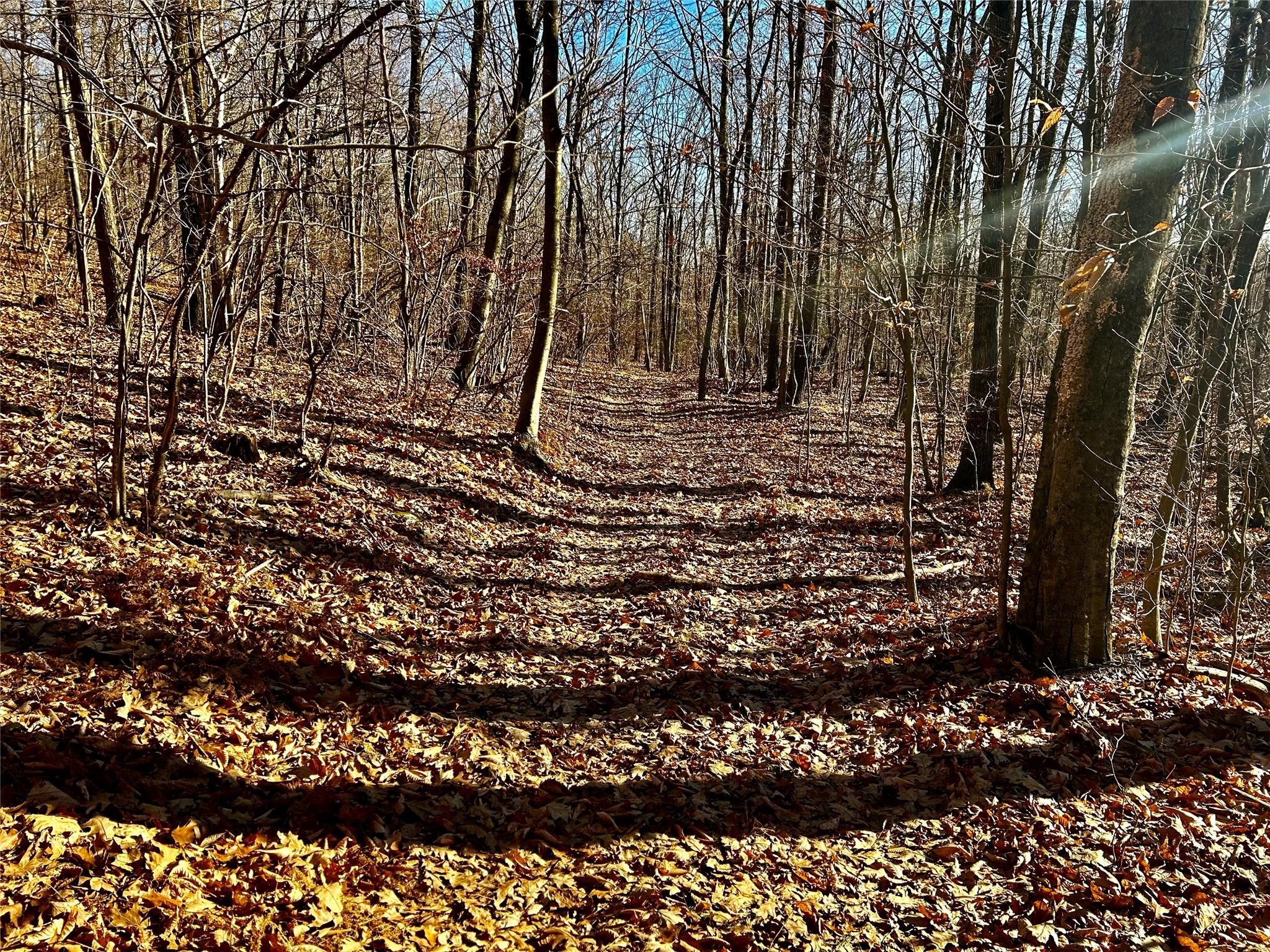 #5 photo, 00 Dugway, Austerlitz , NY 12017