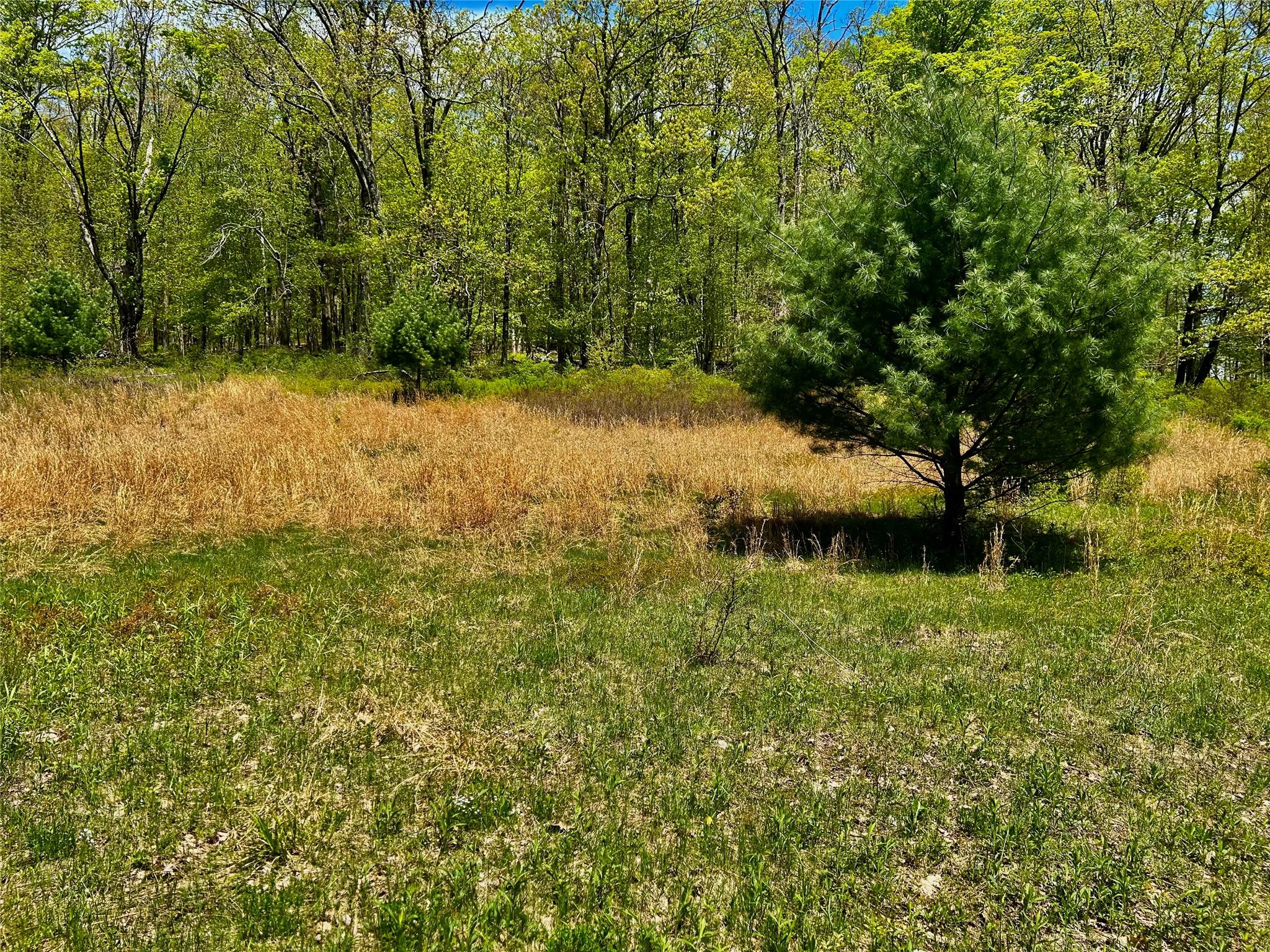 #8 photo, 00 Dugway, Austerlitz , NY 12017