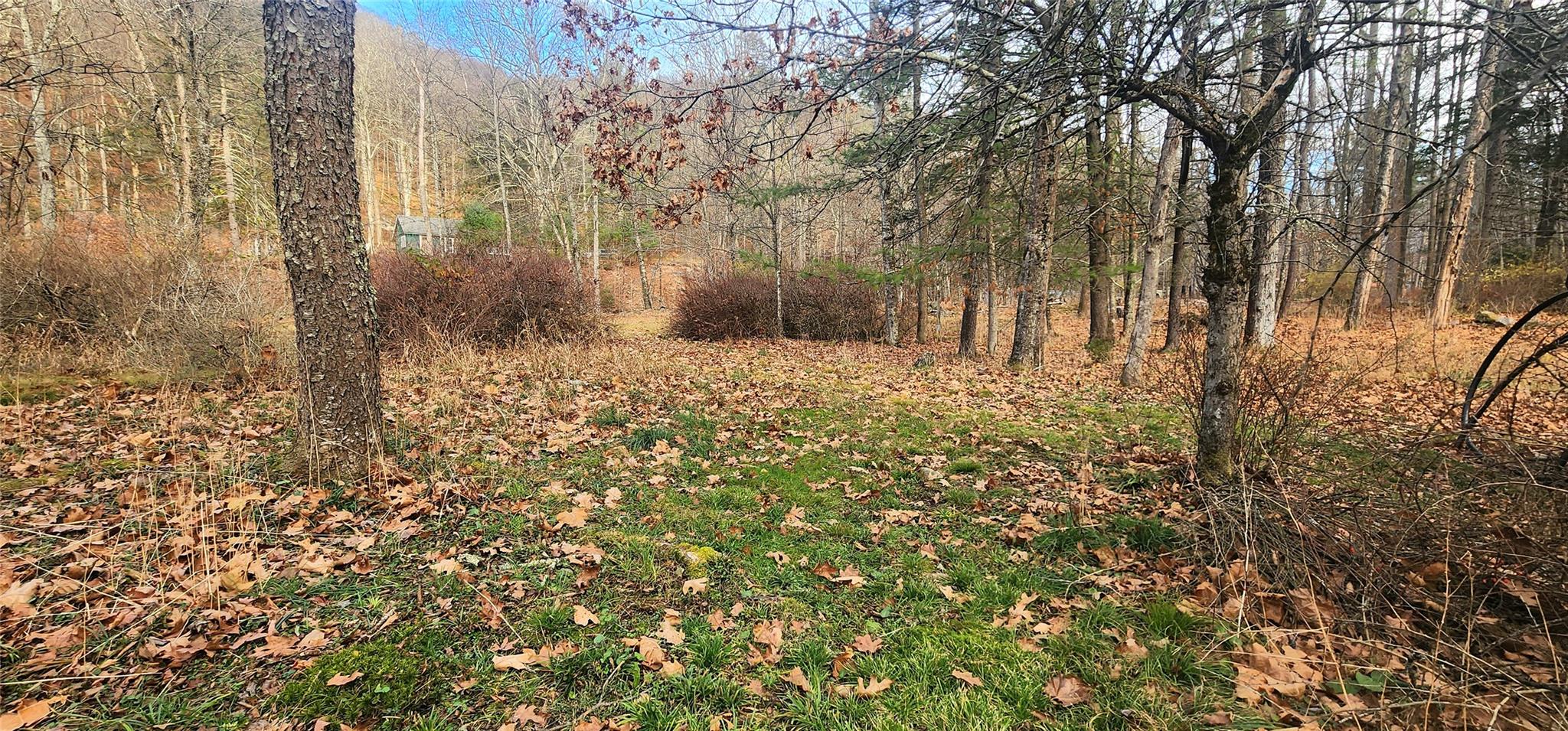 #20 photo, 71 Peekamoose Road, Sundown , NY 12740