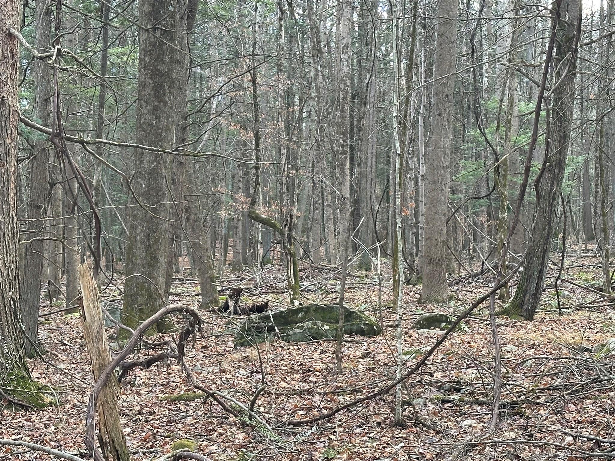 #2 photo, 801 Oakwood Circle, Stone Ridge , NY 