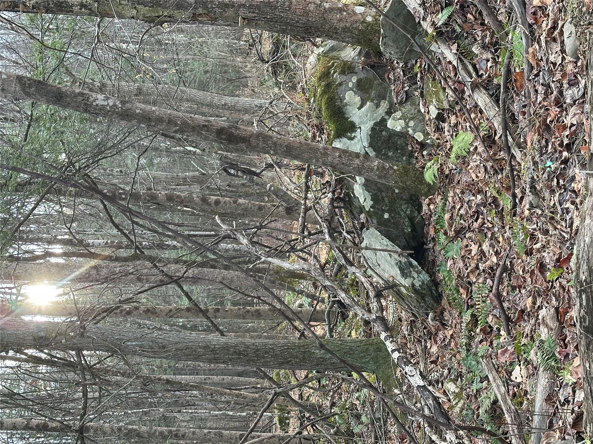 #3 photo, 801 Oakwood Circle, Stone Ridge , NY 