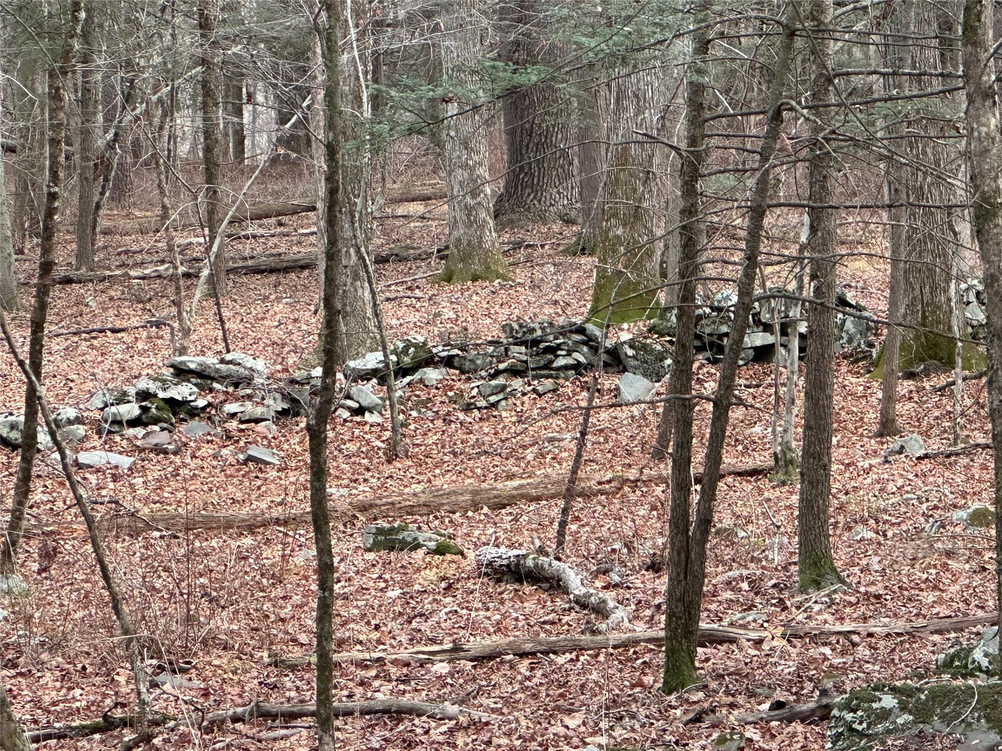 #4 photo, 801 Oakwood Circle, Stone Ridge , NY 