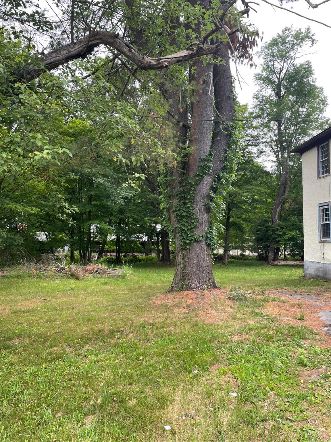 #2 photo, 4710 st rt 55, Bethel , NY 12720