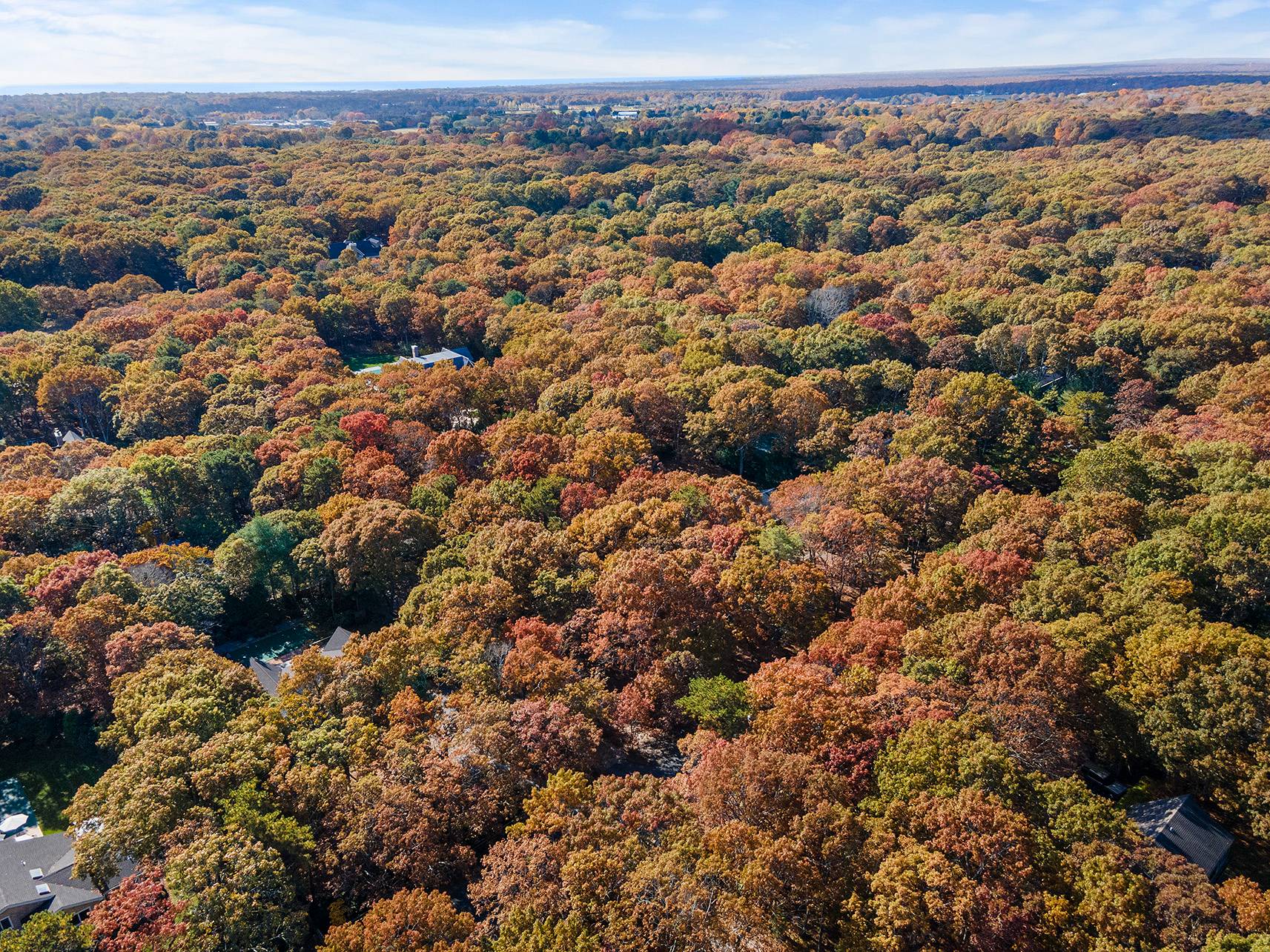 #11 photo, 38 Wooded Oak Lane, 롱 아일랜드 East Hampton , NY 11937