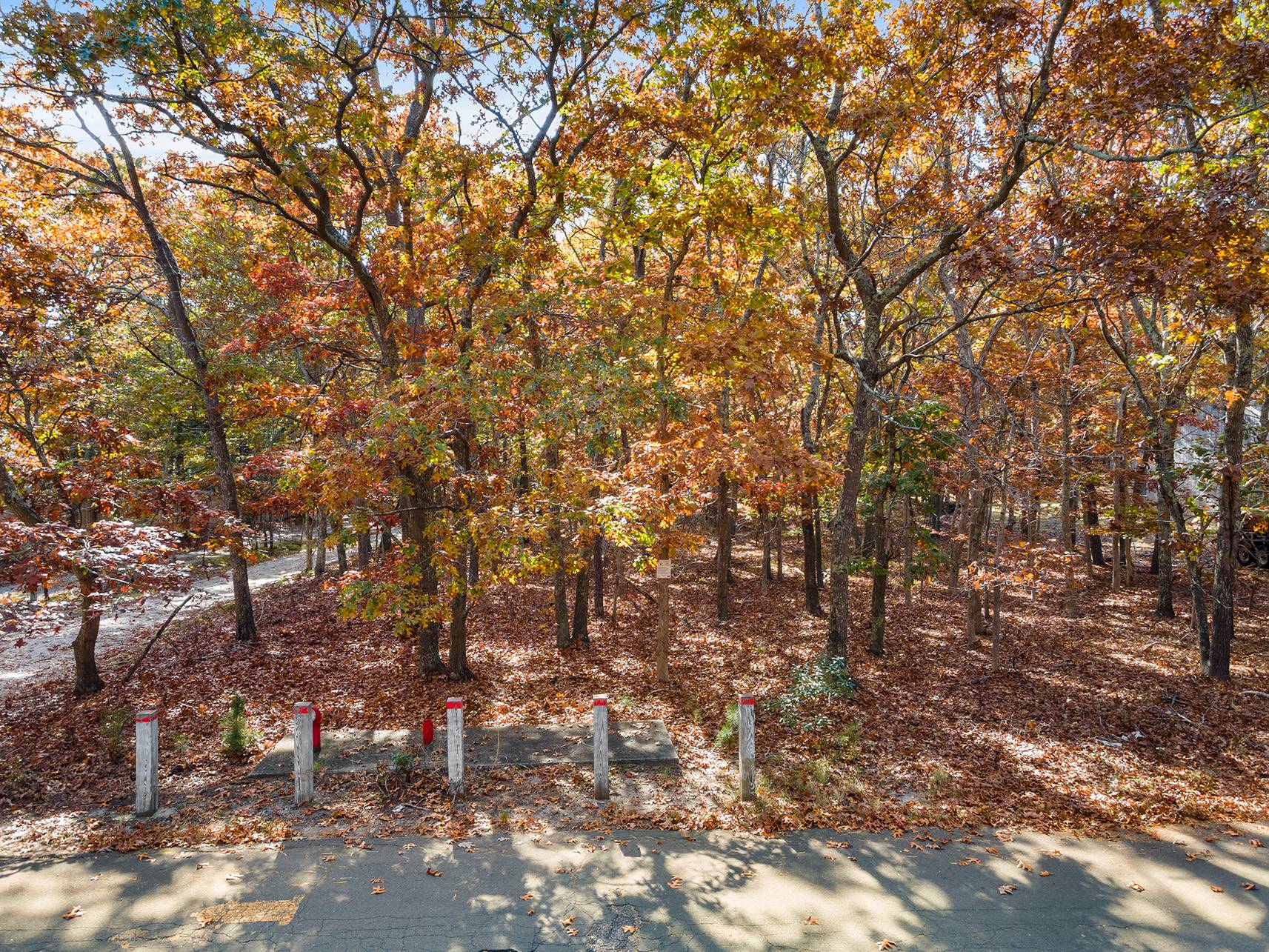 #4 photo, 38 Wooded Oak Lane, 롱 아일랜드 East Hampton , NY 11937