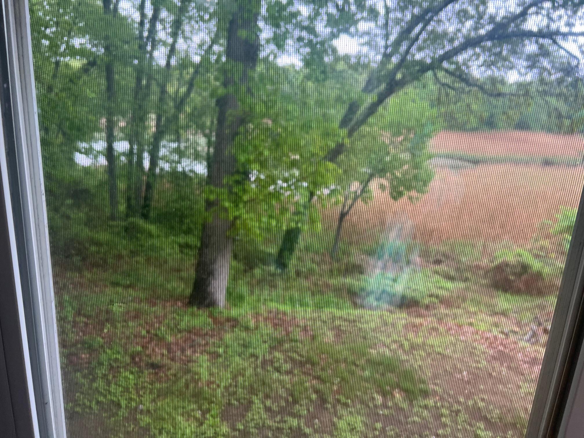 #10 photo, 15 Old Field Road, サフォーク郡 Setauket , NY 11733