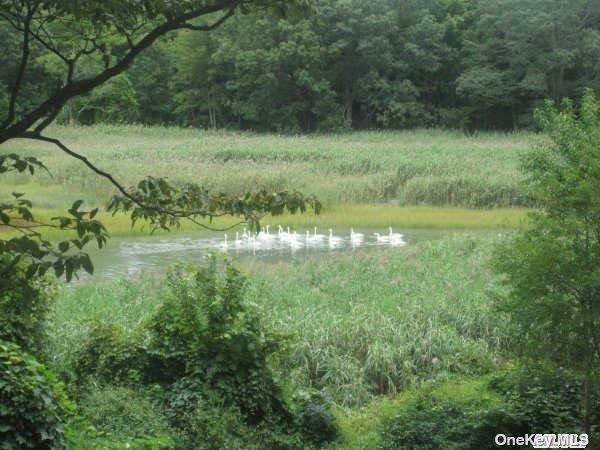 #11 photo, 15 Old Field Road, サフォーク郡 Setauket , NY 11733