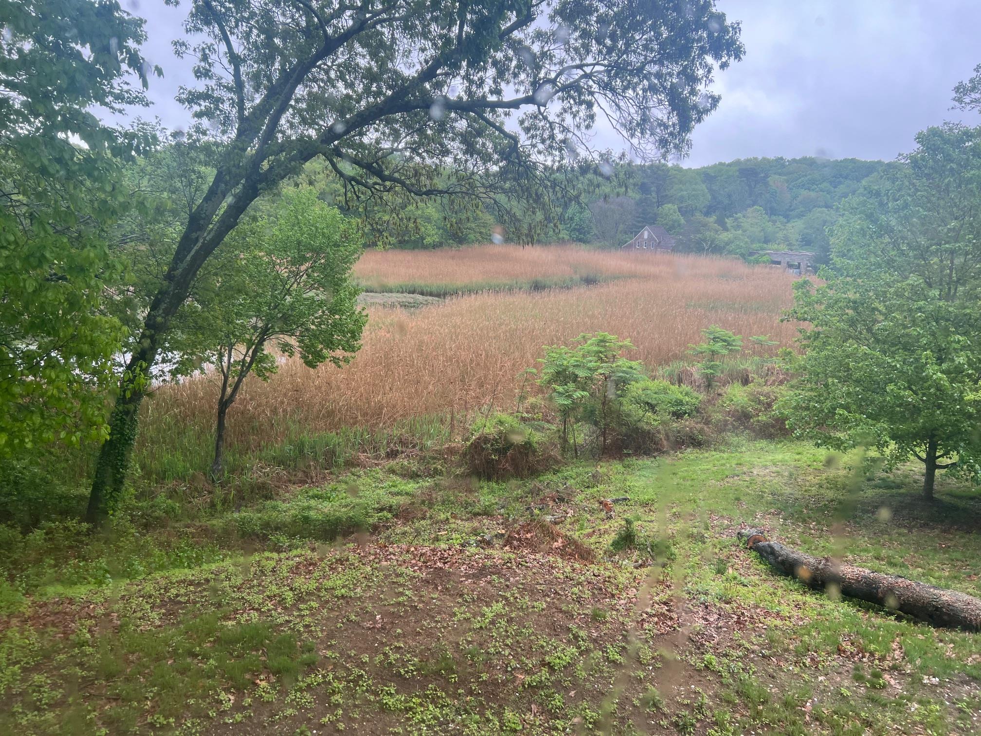 #9 photo, 15 Old Field Road, サフォーク郡 Setauket , NY 11733