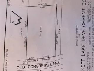 #9 photo, Lot 114 Old Congress Road, Monticello , NY 12701