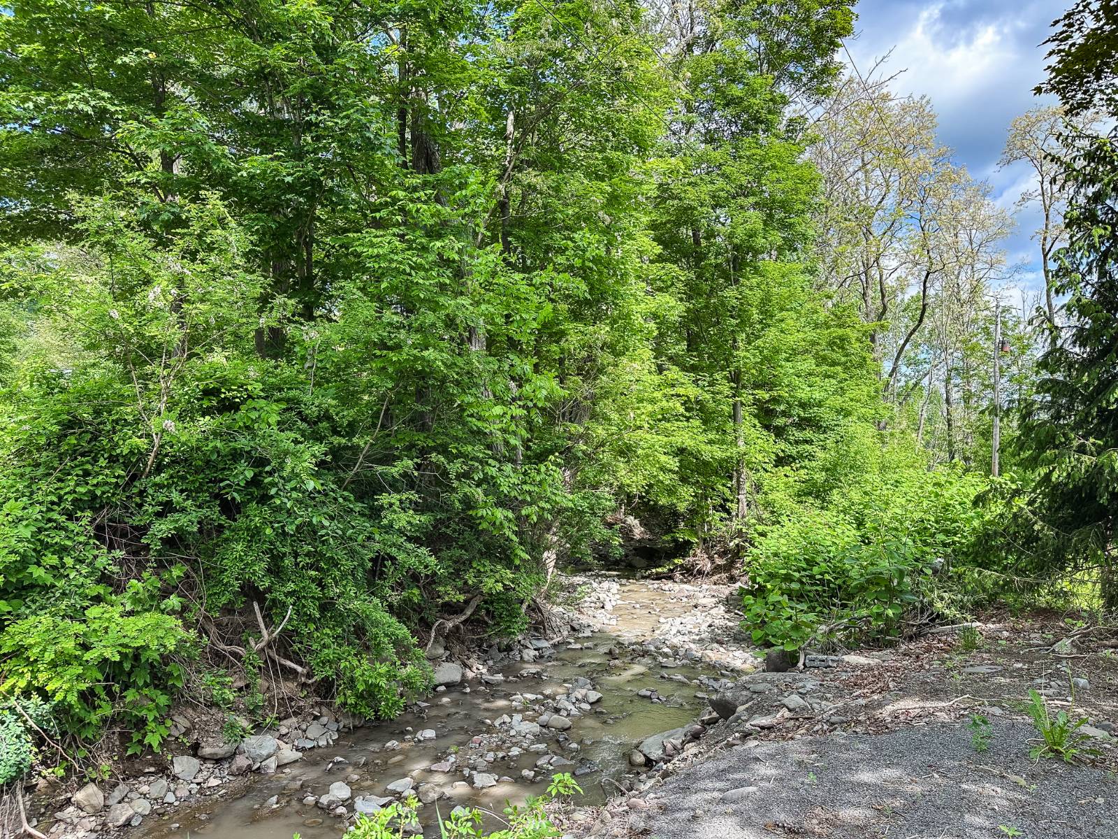 #25 photo, 169 Mattice Road, Prattsville , NY 12468