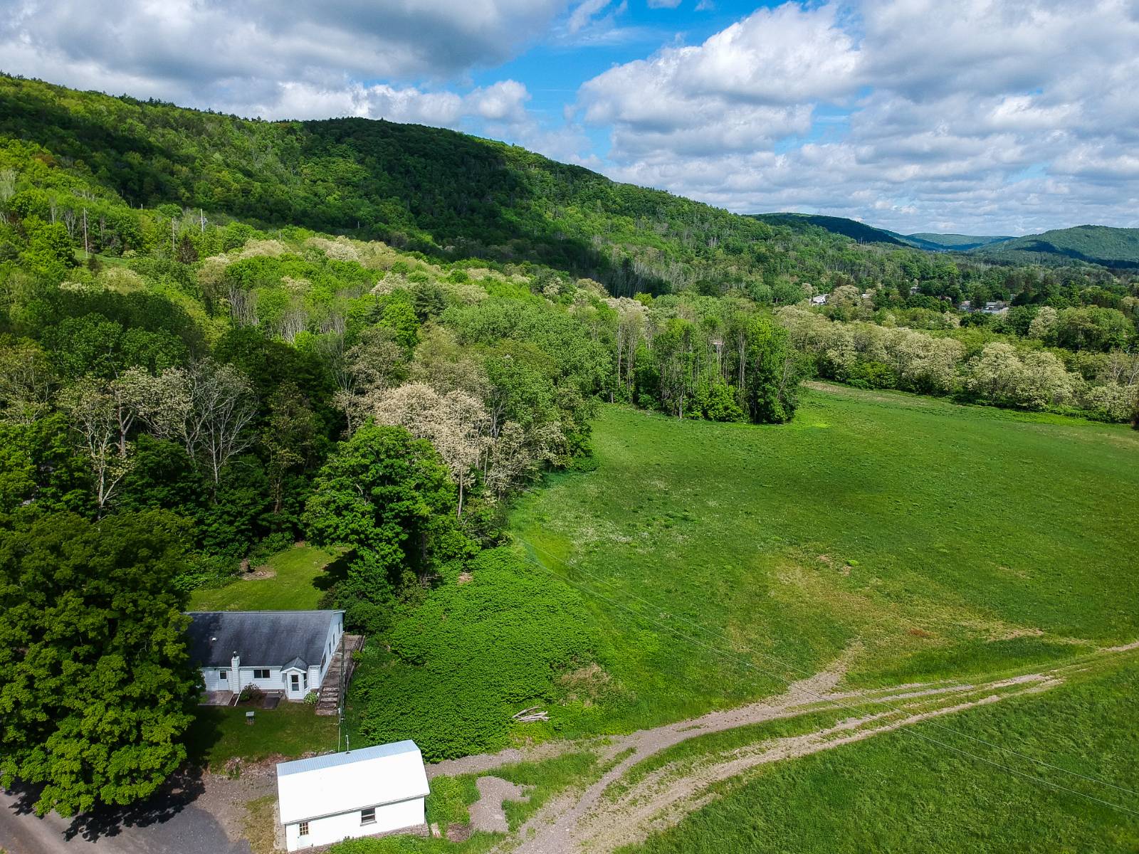 #28 photo, 169 Mattice Road, Prattsville , NY 12468