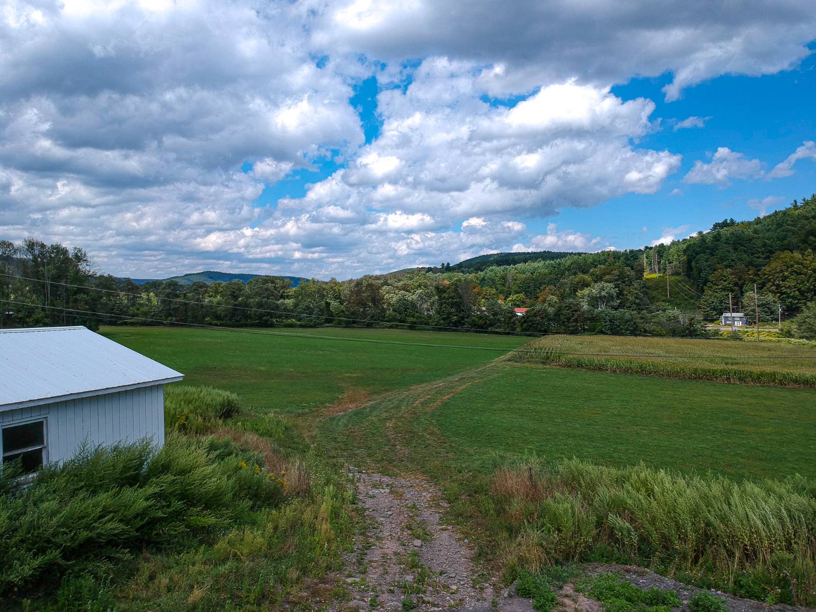 #39 photo, 169 Mattice Road, Prattsville , NY 12468