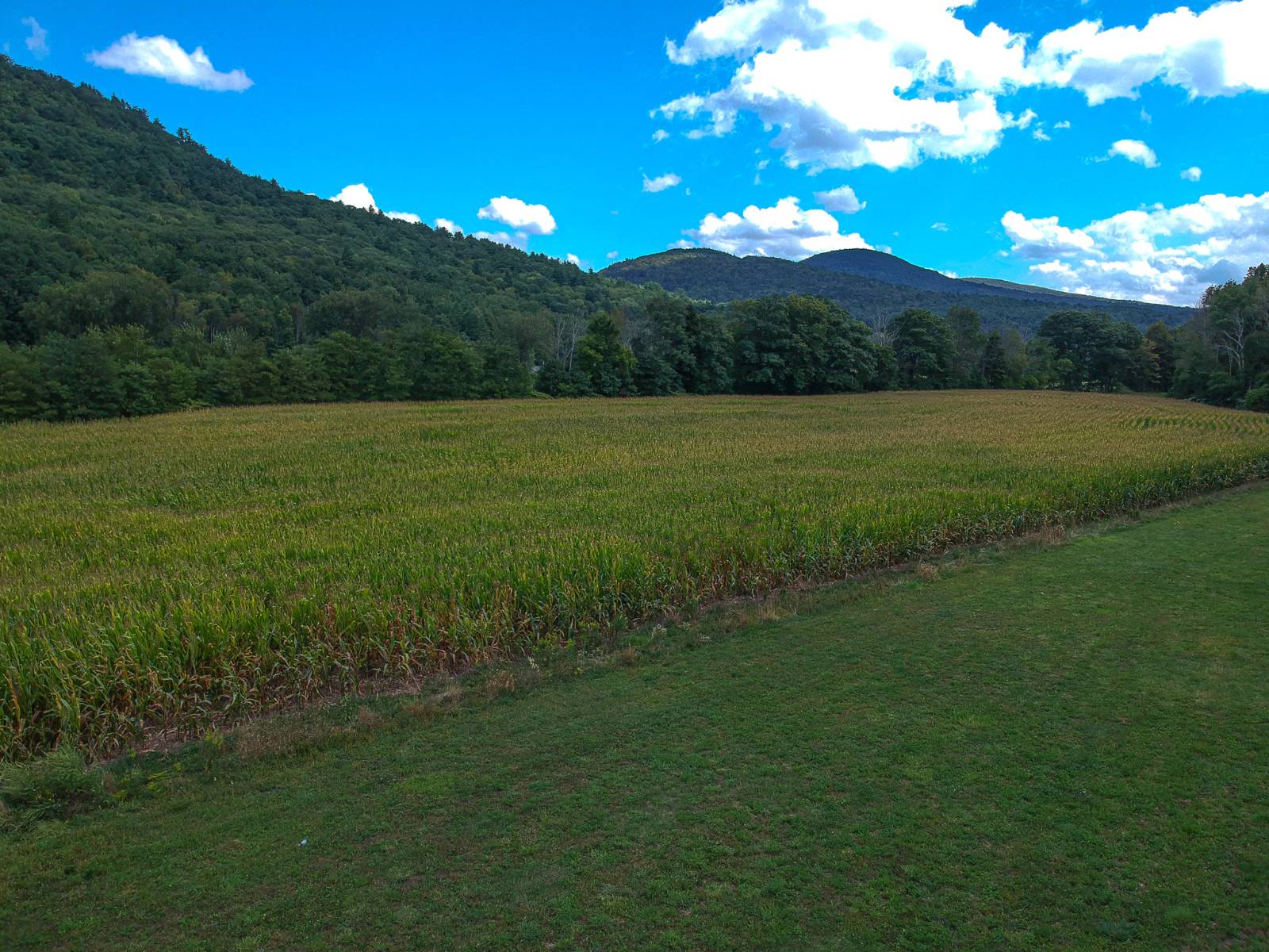 #40 photo, 169 Mattice Road, Prattsville , NY 12468