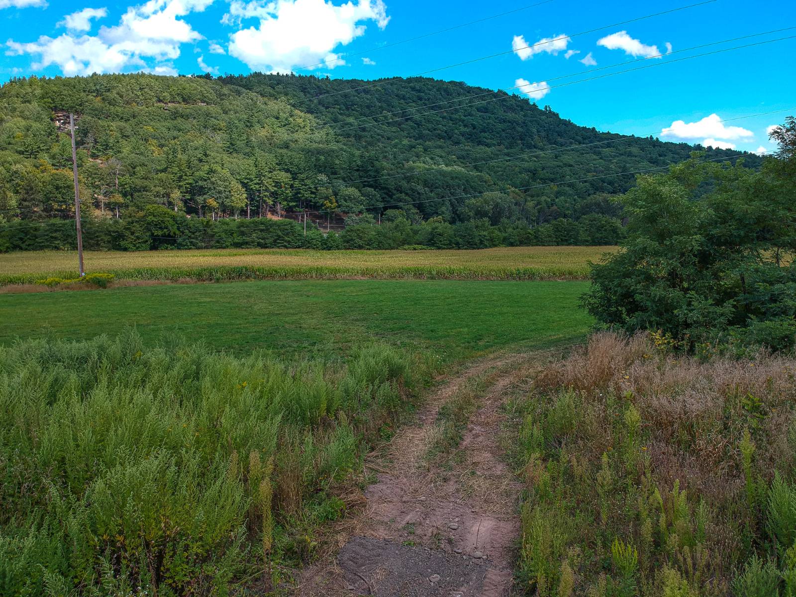 #42 photo, 169 Mattice Road, Prattsville , NY 12468