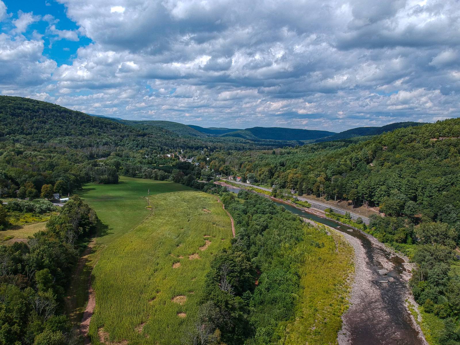 #44 photo, 169 Mattice Road, Prattsville , NY 12468