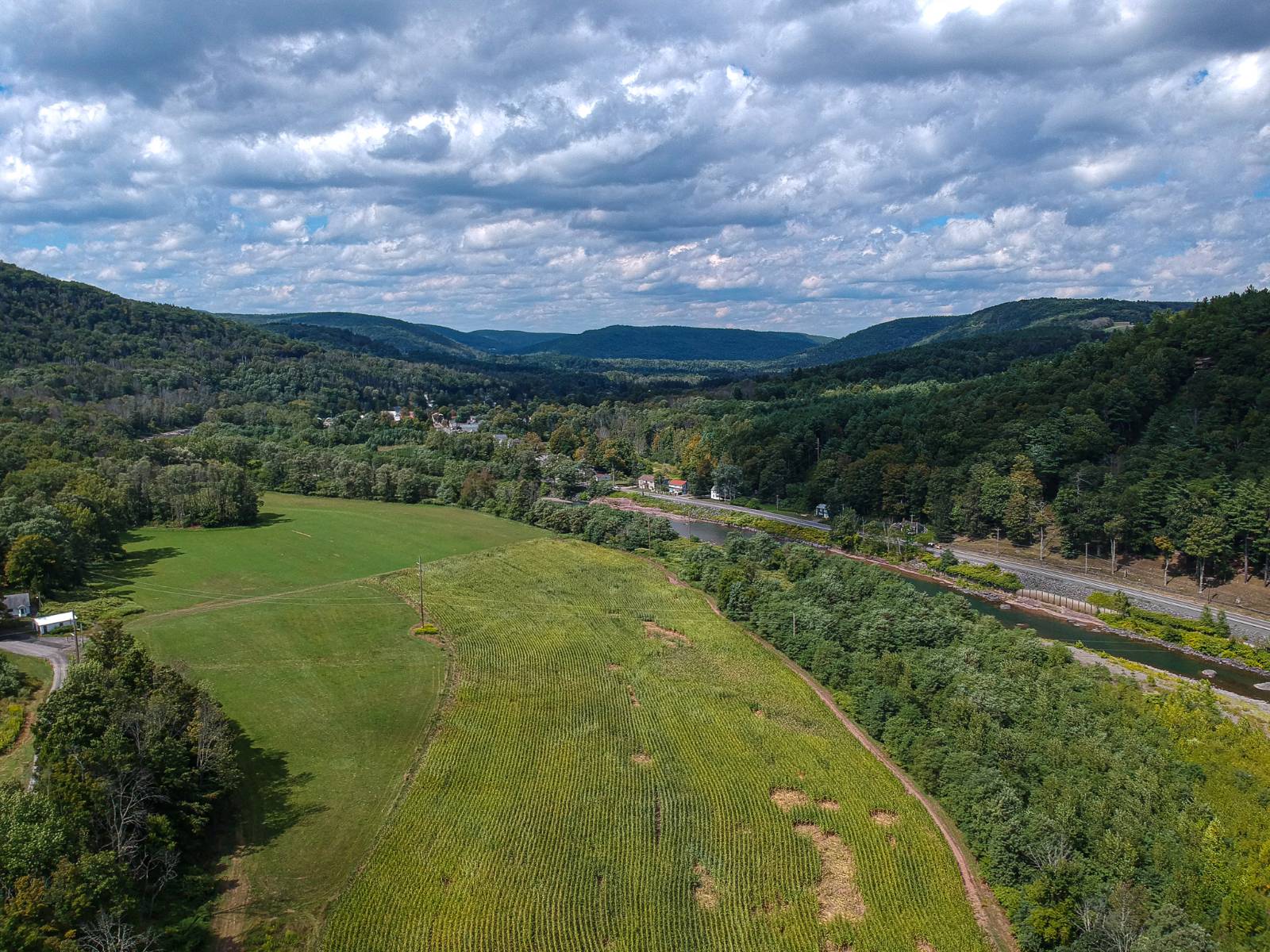 #46 photo, 169 Mattice Road, Prattsville , NY 12468