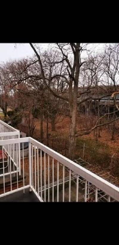 #13 photo, 284 Dahlgren Pl, ブルックリン区 Dyker Heights , NY 11228