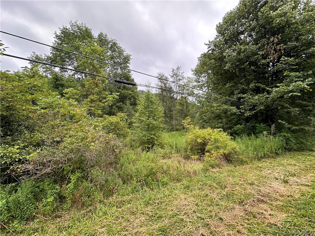 #13 photo, Shandelee Road, Youngsville , NY 12791