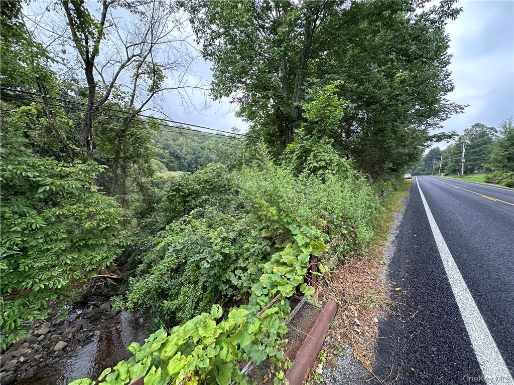 #14 photo, Shandelee Road, Youngsville , NY 12791