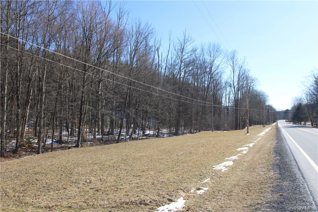#16 photo, Shandelee Road, Youngsville , NY 12791
