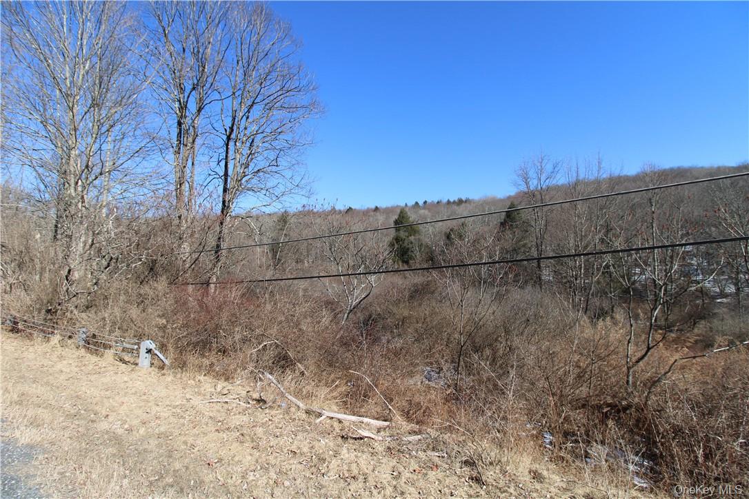 #17 photo, Shandelee Road, Youngsville , NY 12791