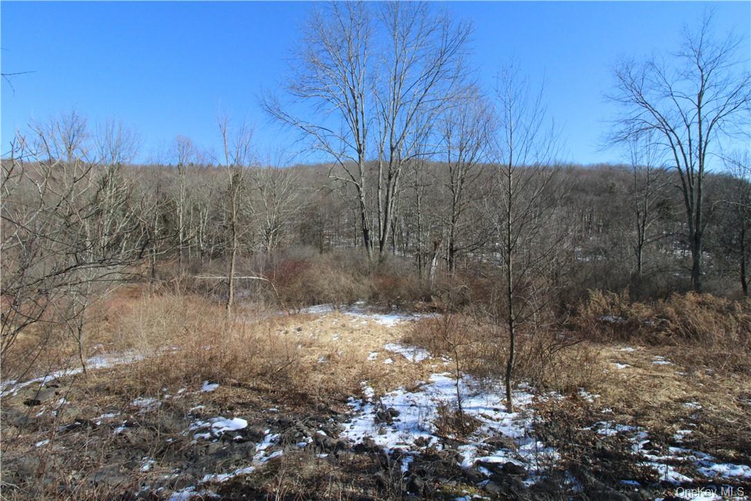 #18 photo, Shandelee Road, Youngsville , NY 12791