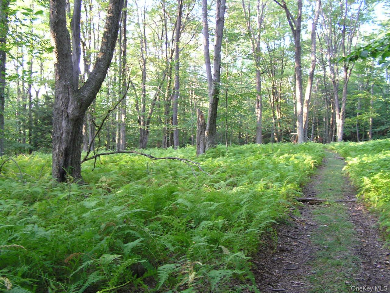 #20 photo, Shandelee Road, Youngsville , NY 12791