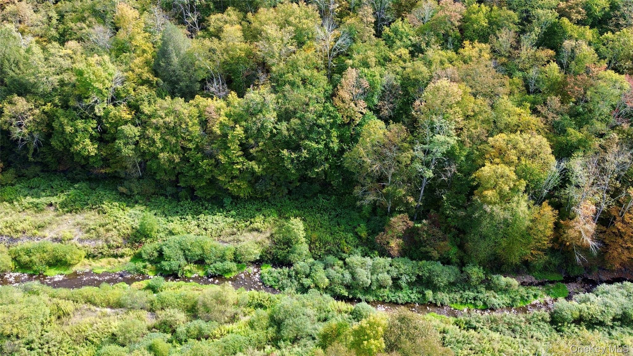 #3 photo, Shandelee Road, Youngsville , NY 12791