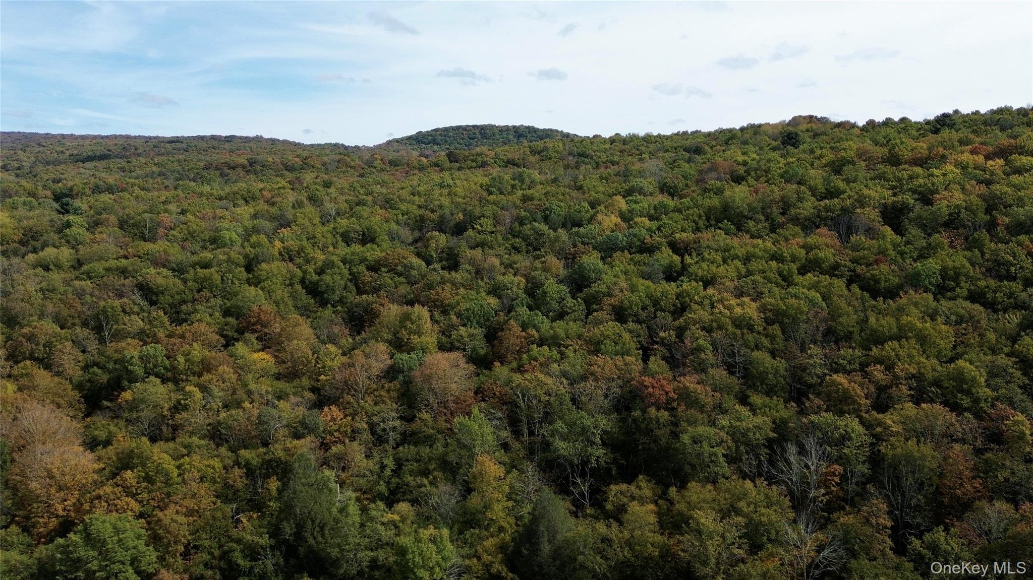 #4 photo, Shandelee Road, Youngsville , NY 12791