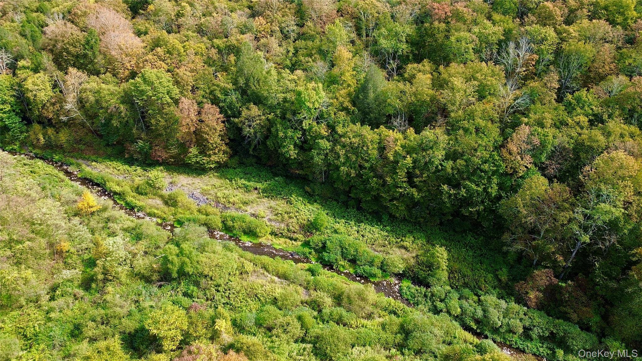 #6 photo, Shandelee Road, Youngsville , NY 12791