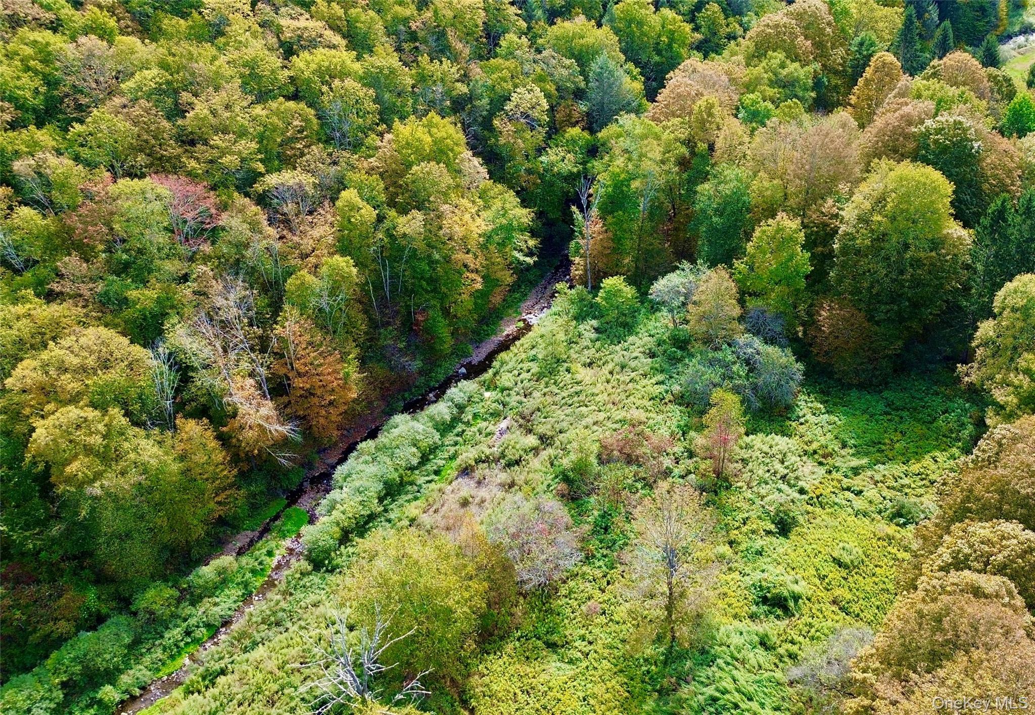 #7 photo, Shandelee Road, Youngsville , NY 12791