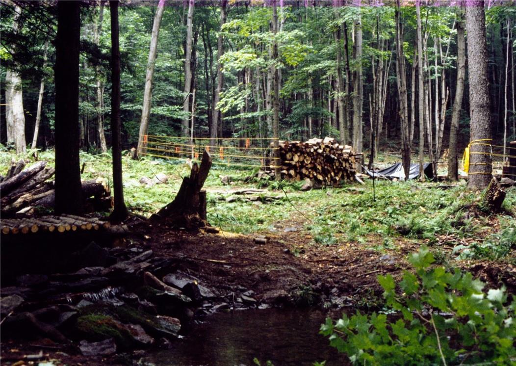 #10 photo, Shandelee Road, Livingston Manor , NY 12758