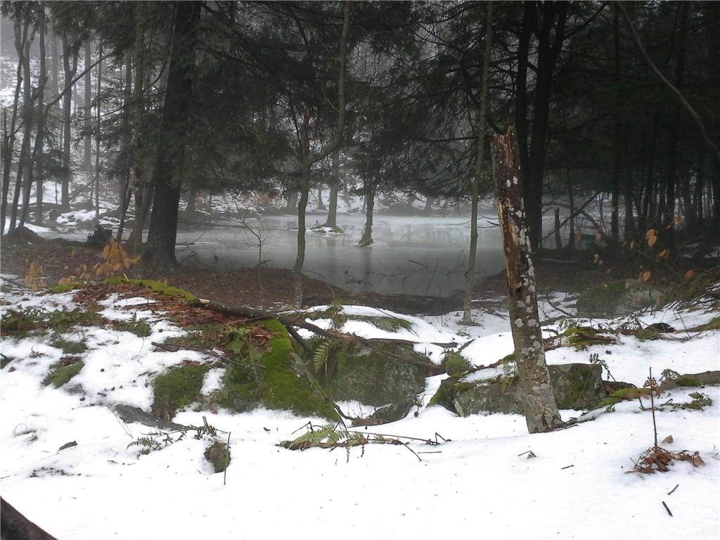 #11 photo, Shandelee Road, Livingston Manor , NY 12758