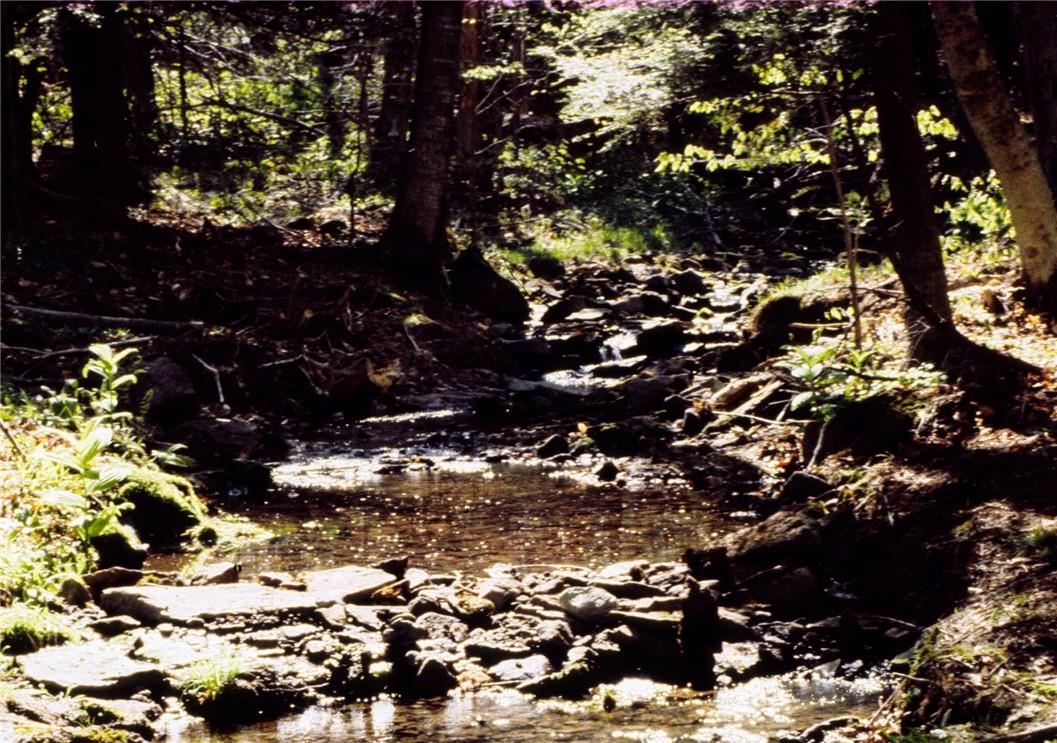 #2 photo, Shandelee Road, Livingston Manor , NY 12758