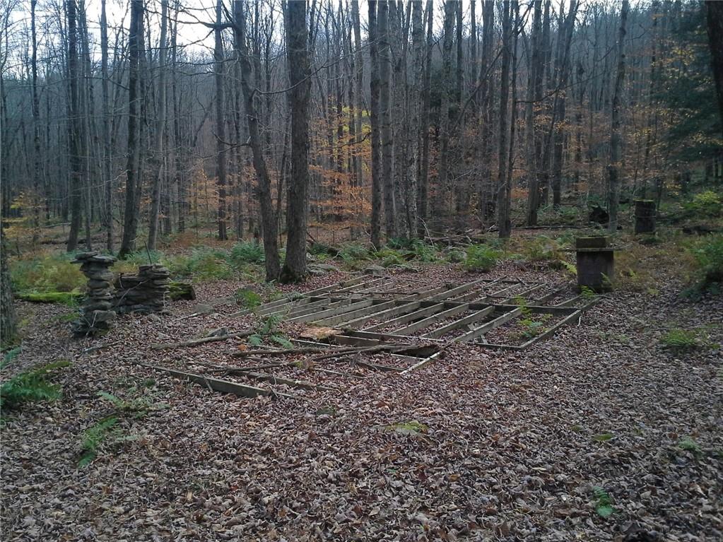 #5 photo, Shandelee Road, Livingston Manor , NY 12758