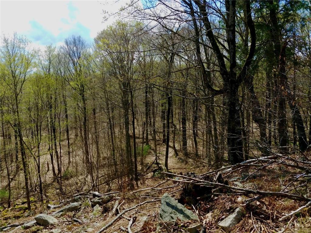 #9 photo, Shandelee Road, Livingston Manor , NY 12758