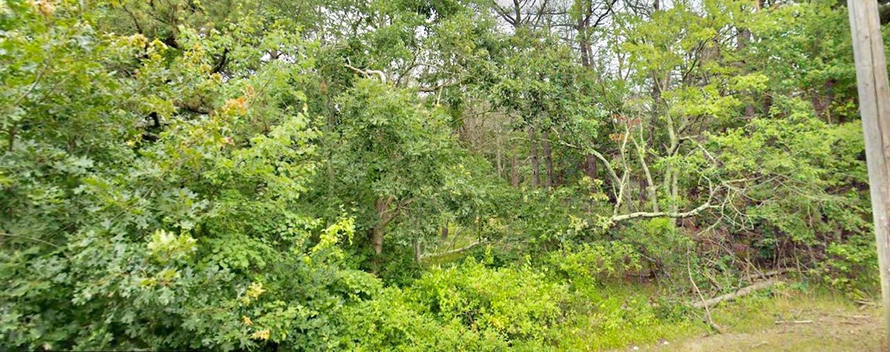 #10 photo, 202-214 Old Country, サフォーク郡 Eastport , NY 11941