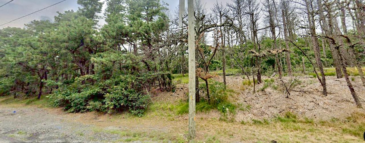 #8 photo, 202-214 Old Country, サフォーク郡 Eastport , NY 11941