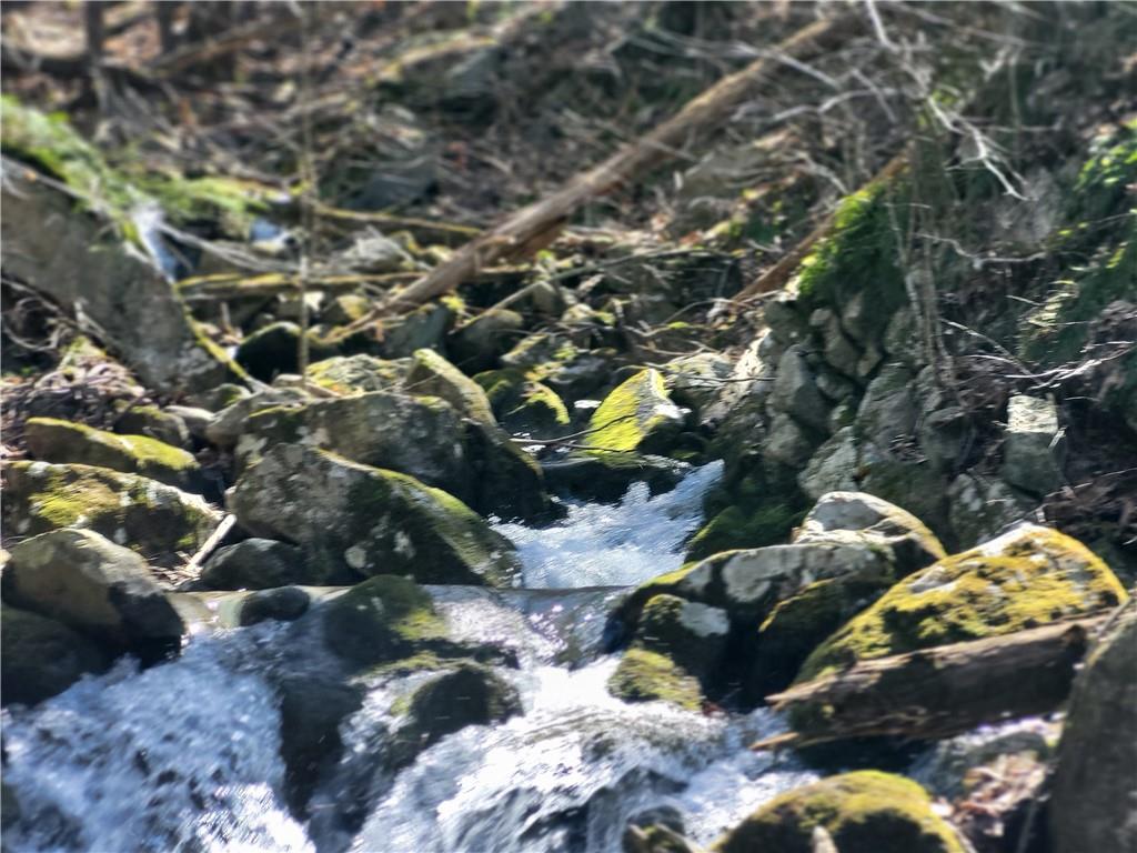 #15 photo, Old Plank Road, Cragsmoor , NY 12420